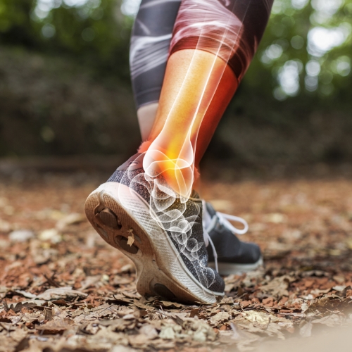 ankle-pain-relief-NY-Sports-and-Spinal-Physical-Therapy-armonk-new-york-larchmont-scarsdale-ny