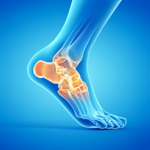 foot-pain-relief-NY-Sports-and-Spinal-Physical-Therapy-armonk-new-york-larchmont-scarsdale-ny